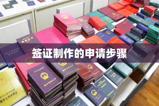 红河签证制作的申请步骤