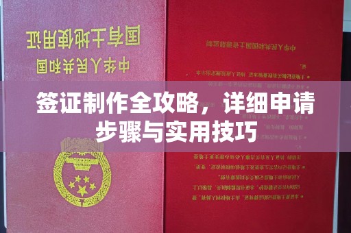 云城签证制作全攻略，详细申请步骤与实用技巧