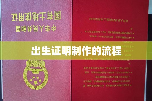 常平出生证明制作的流程